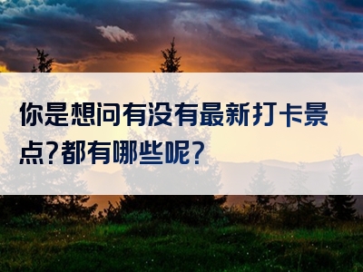 你是想问有没有最新打卡景点？都有哪些呢？