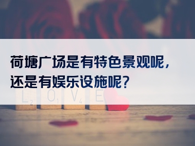 荷塘广场是有特色景观呢，还是有娱乐设施呢？