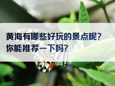 黄海有哪些好玩的景点呢？你能推荐一下吗？