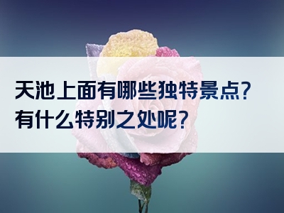 天池上面有哪些独特景点？有什么特别之处呢？