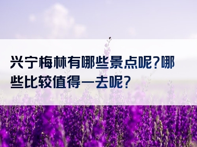 兴宁梅林有哪些景点呢？哪些比较值得一去呢？