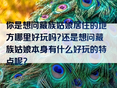 你是想问藏族姑娘居住的地方哪里好玩吗？还是想问藏族姑娘本身有什么好玩的特点呢？