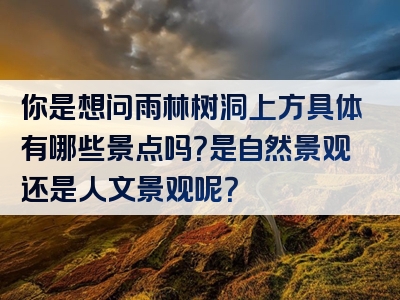 你是想问雨林树洞上方具体有哪些景点吗？是自然景观还是人文景观呢？