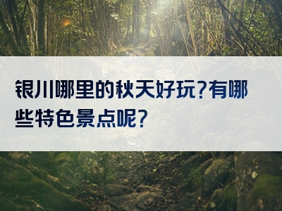 银川哪里的秋天好玩？有哪些特色景点呢？