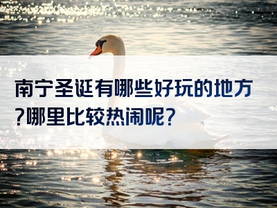 南宁圣诞有哪些好玩的地方？哪里比较热闹呢？
