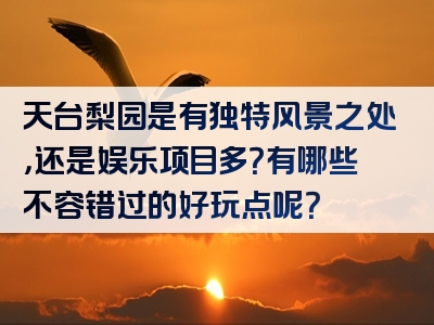 天台梨园是有独特风景之处，还是娱乐项目多？有哪些不容错过的好玩点呢？