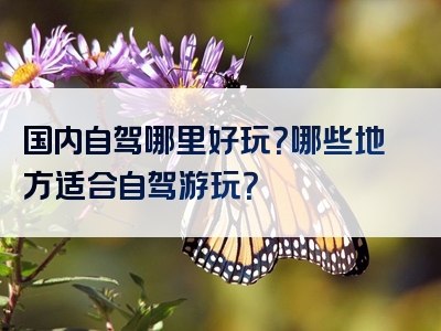 国内自驾哪里好玩？哪些地方适合自驾游玩？