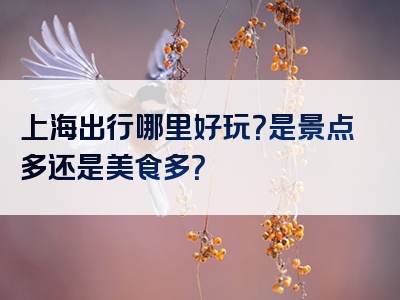 上海出行哪里好玩？是景点多还是美食多？