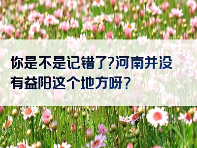 你是不是记错了？河南并没有益阳这个地方呀？