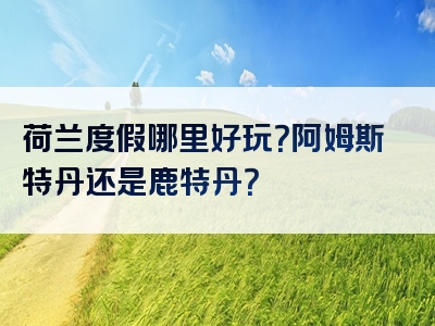 荷兰度假哪里好玩？阿姆斯特丹还是鹿特丹？