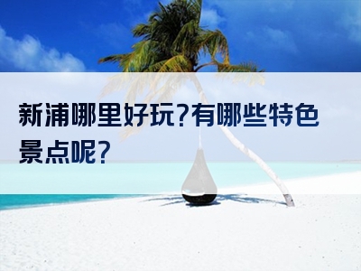 新浦哪里好玩？有哪些特色景点呢？