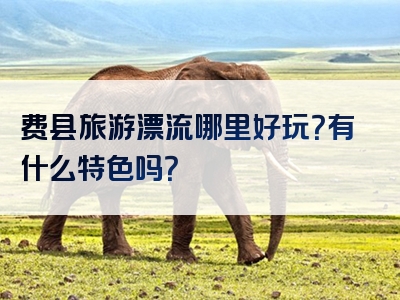 费县旅游漂流哪里好玩？有什么特色吗？