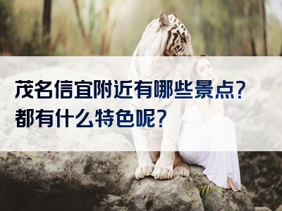 茂名信宜附近有哪些景点？都有什么特色呢？