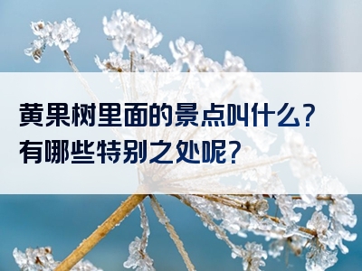 黄果树里面的景点叫什么？有哪些特别之处呢？