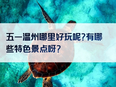 五一温州哪里好玩呢？有哪些特色景点呀？