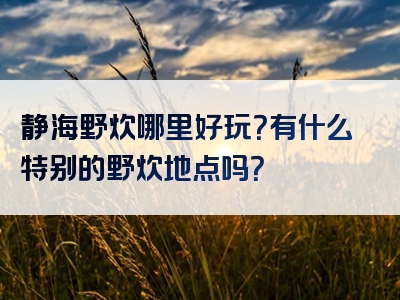 静海野炊哪里好玩？有什么特别的野炊地点吗？