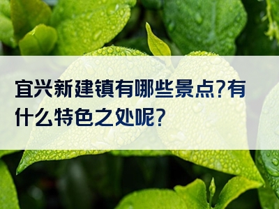 宜兴新建镇有哪些景点？有什么特色之处呢？