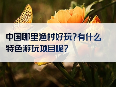 中国哪里渔村好玩？有什么特色游玩项目呢？