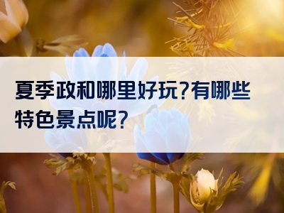 夏季政和哪里好玩？有哪些特色景点呢？