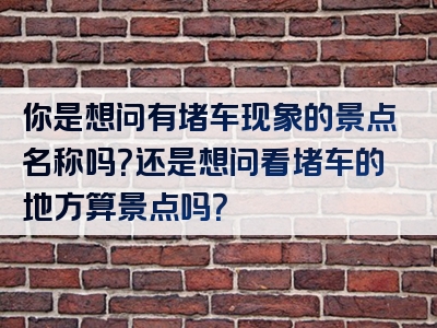 你是想问有堵车现象的景点名称吗？还是想问看堵车的地方算景点吗？