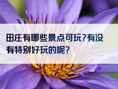田庄有哪些景点可玩？有没有特别好玩的呢？