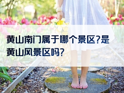 黄山南门属于哪个景区？是黄山风景区吗？