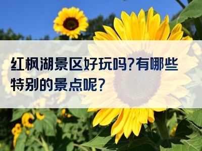 红枫湖景区好玩吗？有哪些特别的景点呢？
