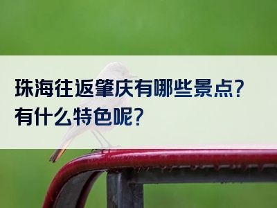 珠海往返肇庆有哪些景点？有什么特色呢？