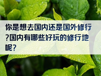 你是想去国内还是国外修行？国内有哪些好玩的修行地呢？