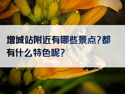 增城站附近有哪些景点？都有什么特色呢？