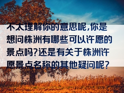 不太理解你的意思呢，你是想问株洲有哪些可以许愿的景点吗？还是有关于株洲许愿景点名称的其他疑问呢？