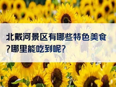 北戴河景区有哪些特色美食？哪里能吃到呢？