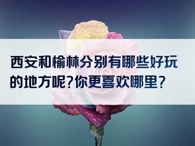 西安和榆林分别有哪些好玩的地方呢？你更喜欢哪里？