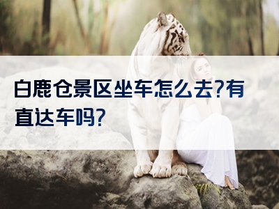 白鹿仓景区坐车怎么去？有直达车吗？