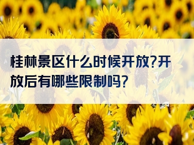 桂林景区什么时候开放？开放后有哪些限制吗？
