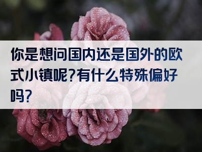 你是想问国内还是国外的欧式小镇呢？有什么特殊偏好吗？