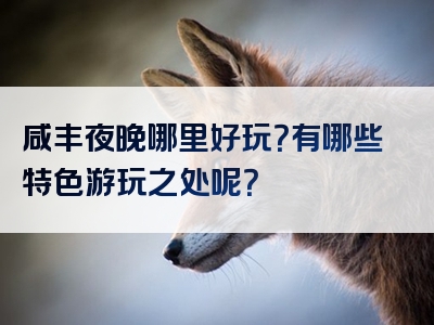 咸丰夜晚哪里好玩？有哪些特色游玩之处呢？