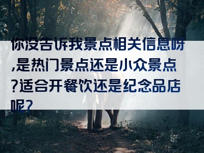 你没告诉我景点相关信息呀，是热门景点还是小众景点？适合开餐饮还是纪念品店呢？