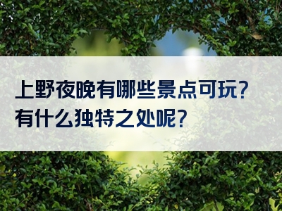 上野夜晚有哪些景点可玩？有什么独特之处呢？