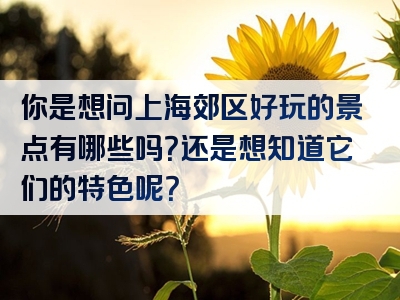 你是想问上海郊区好玩的景点有哪些吗？还是想知道它们的特色呢？