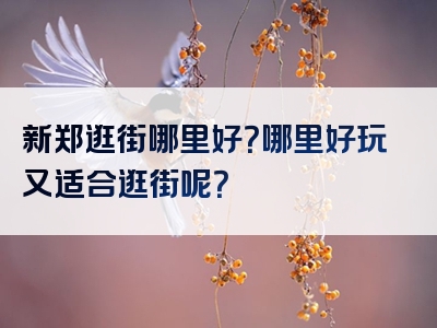 新郑逛街哪里好？哪里好玩又适合逛街呢？