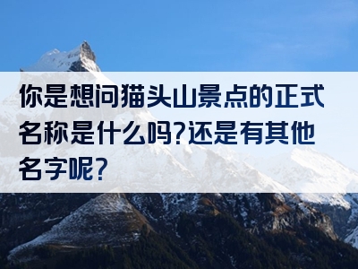 你是想问猫头山景点的正式名称是什么吗？还是有其他名字呢？