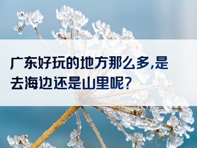 广东好玩的地方那么多，是去海边还是山里呢？
