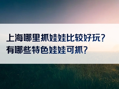 上海哪里抓娃娃比较好玩？有哪些特色娃娃可抓？