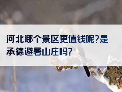 河北哪个景区更值钱呢？是承德避暑山庄吗？