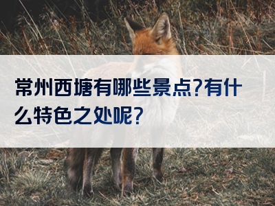 常州西塘有哪些景点？有什么特色之处呢？