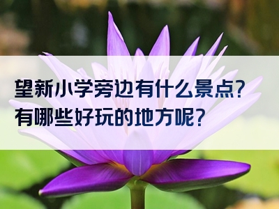 望新小学旁边有什么景点？有哪些好玩的地方呢？