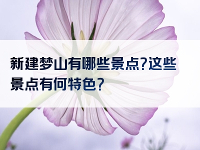 新建梦山有哪些景点？这些景点有何特色？