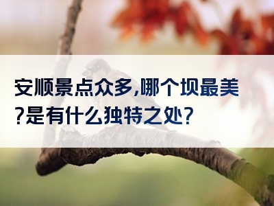 安顺景点众多，哪个坝最美？是有什么独特之处？