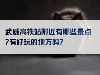 武威高铁站附近有哪些景点？有好玩的地方吗？